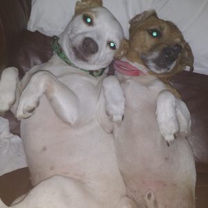 Meet your Posher, Corrine